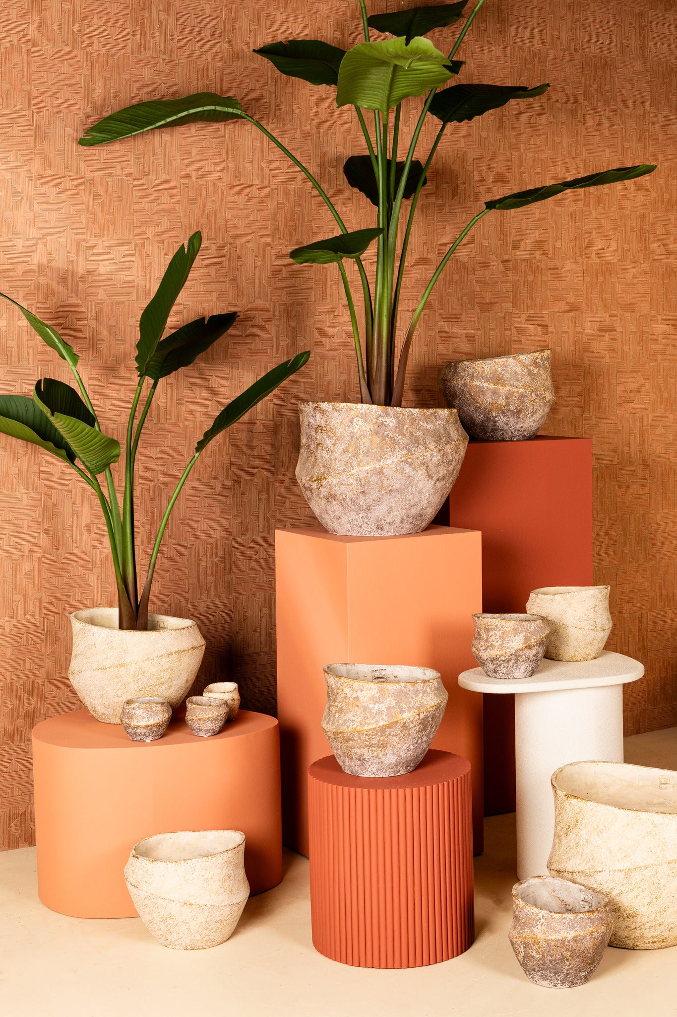 Rishell Cream Cement Round Pot With Line Big S
