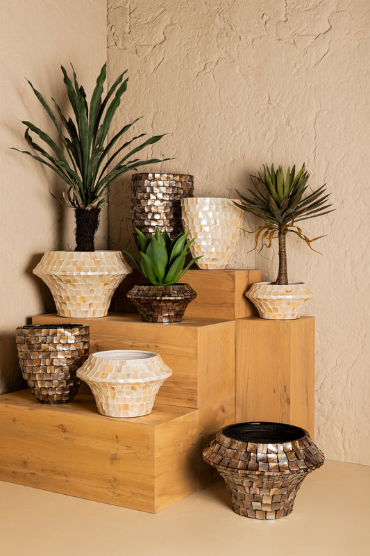 Daven Cream Poly Shell Bamboo Pot Round Low L