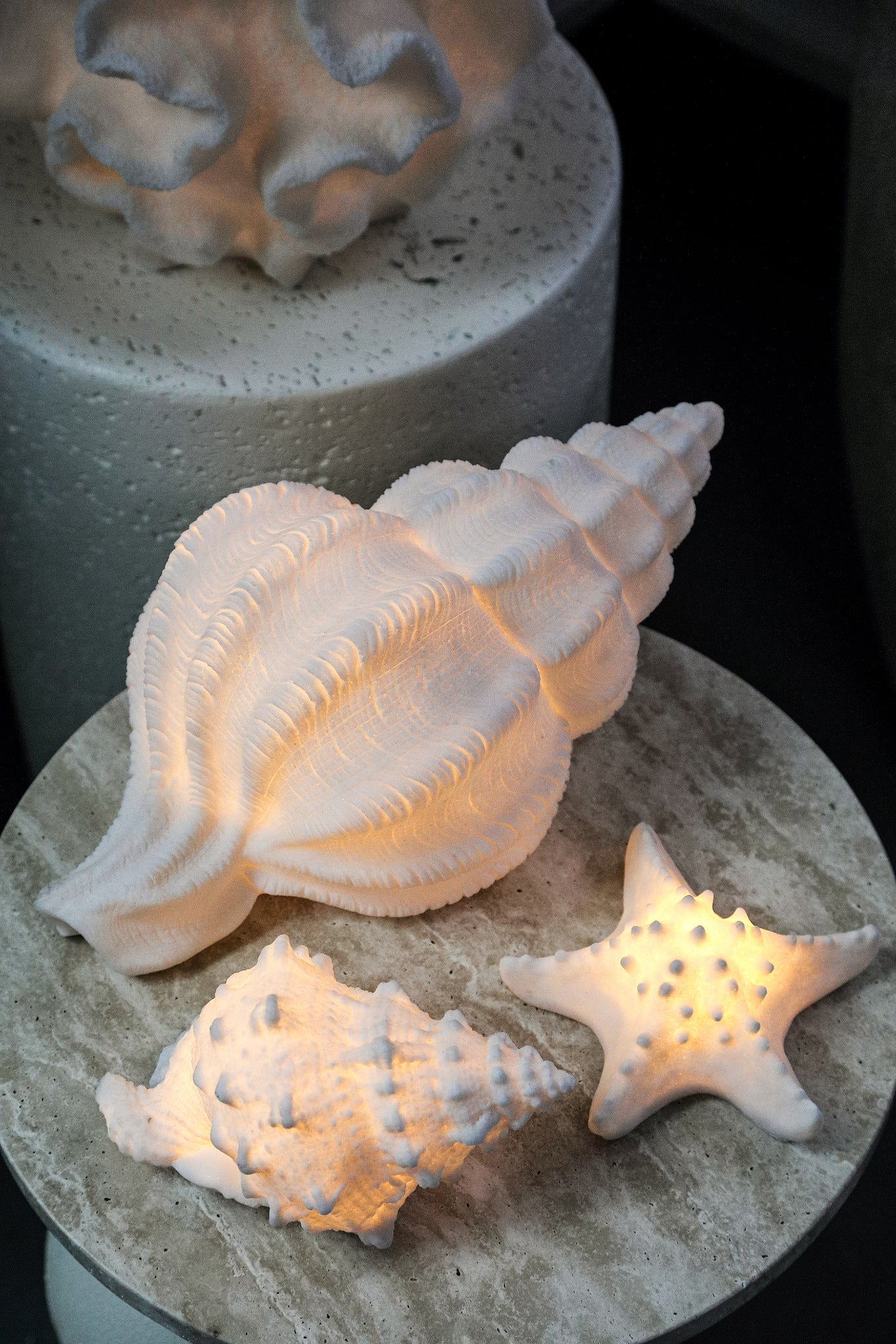 Graeme White Poly Shell Shaped LED Lamp Lines S
