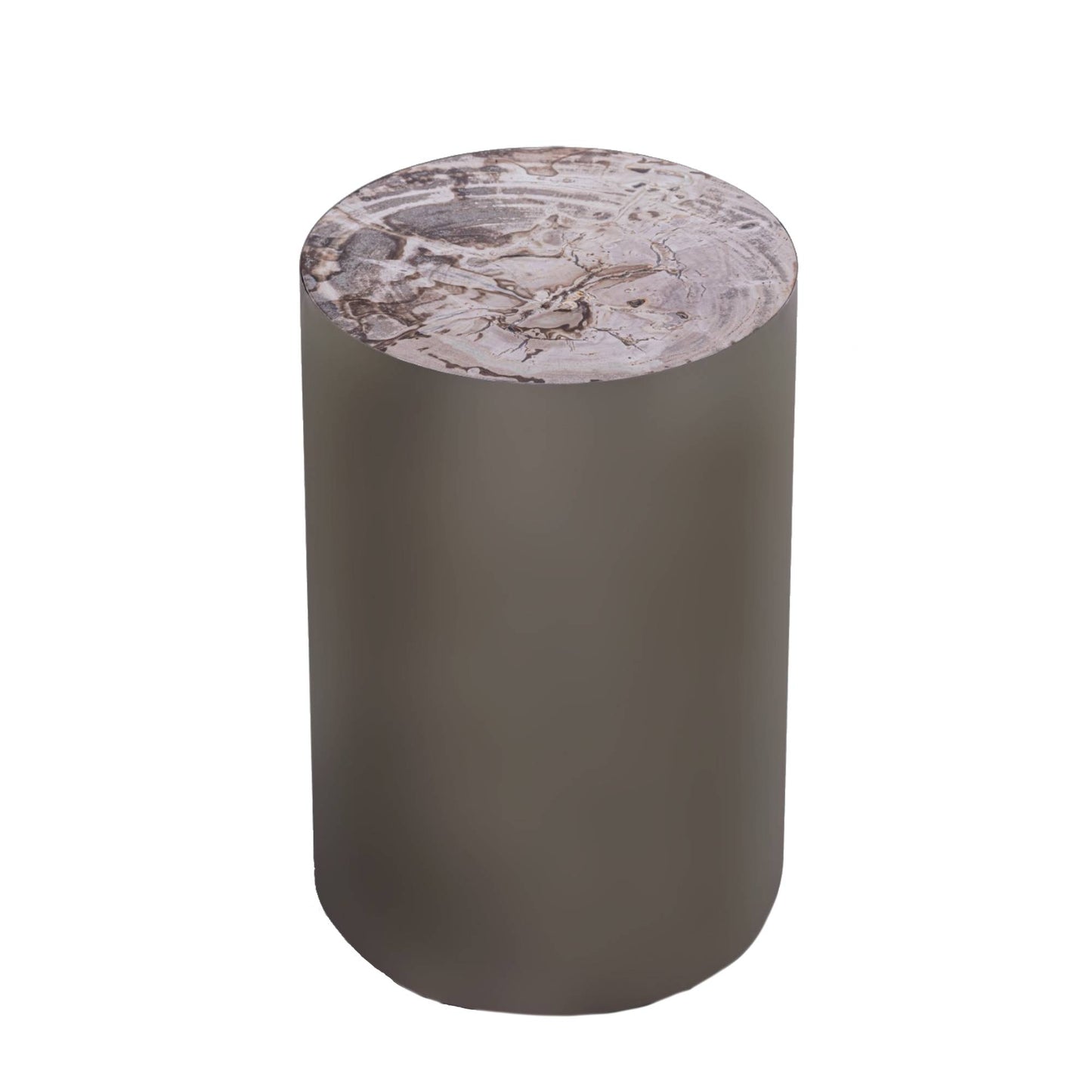 Rillix Natural Petrified Wood Sidetable Nickel Rnd