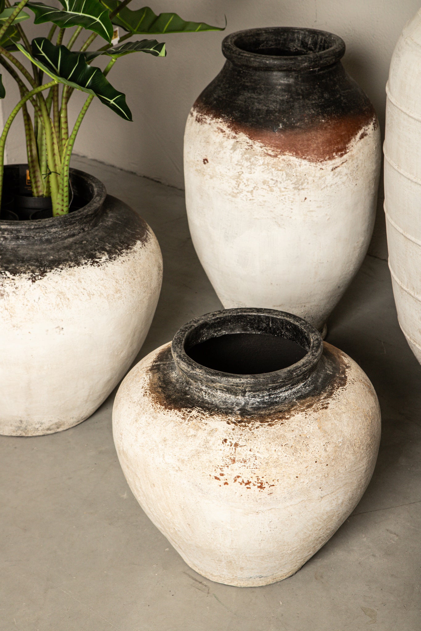 Jinsu White Round GRC Jar Pot W Dark Border S