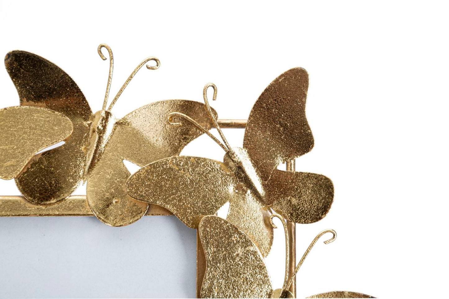 Mauro Ferretti PHOTO FRAME BUTTERFLY GLAM CM 35X15X38 (INSIDE SIZES CM 20X25)