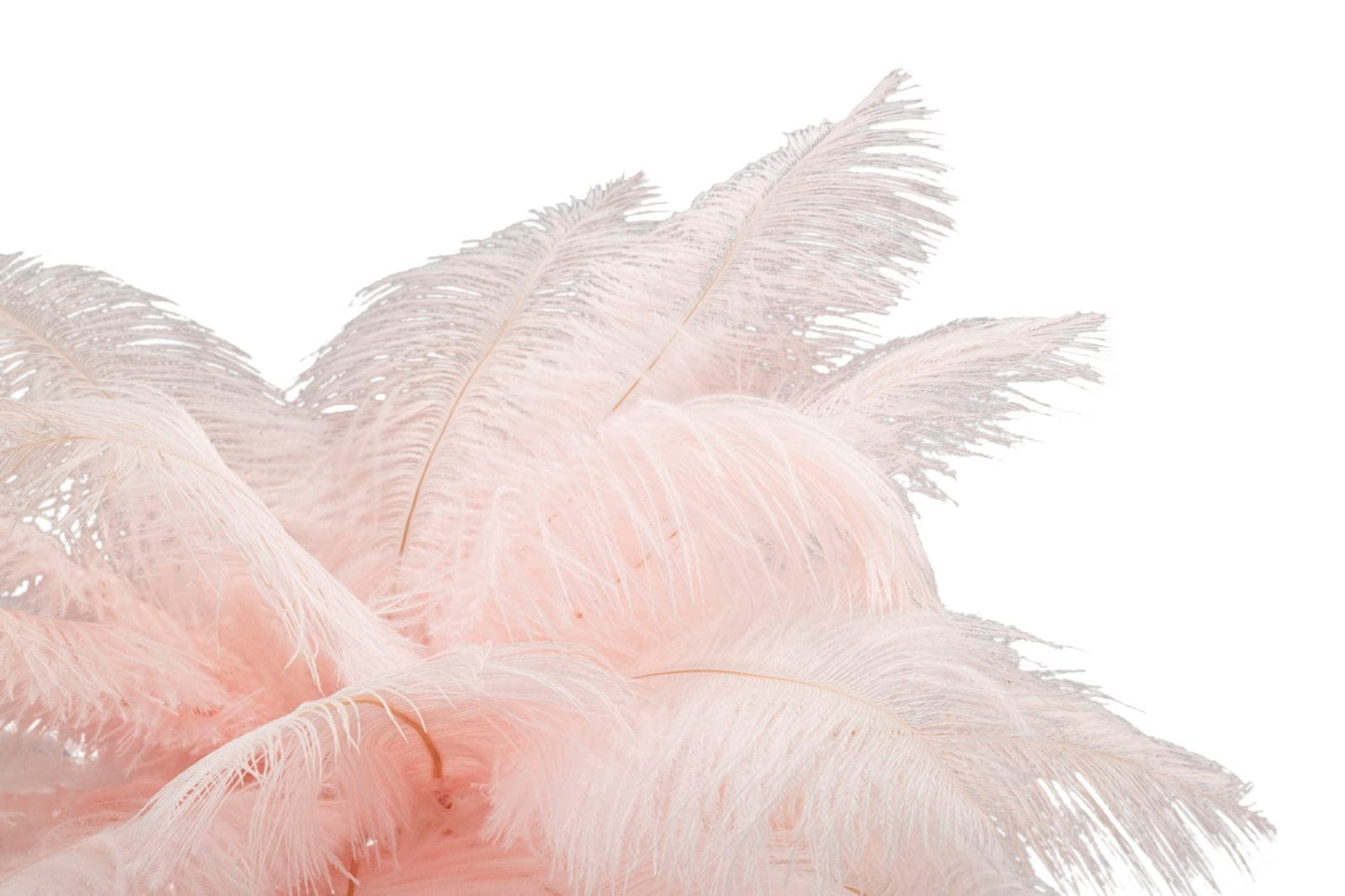 Mauro Ferretti TABLE LAMP PALM PINK CM Ø 40X55