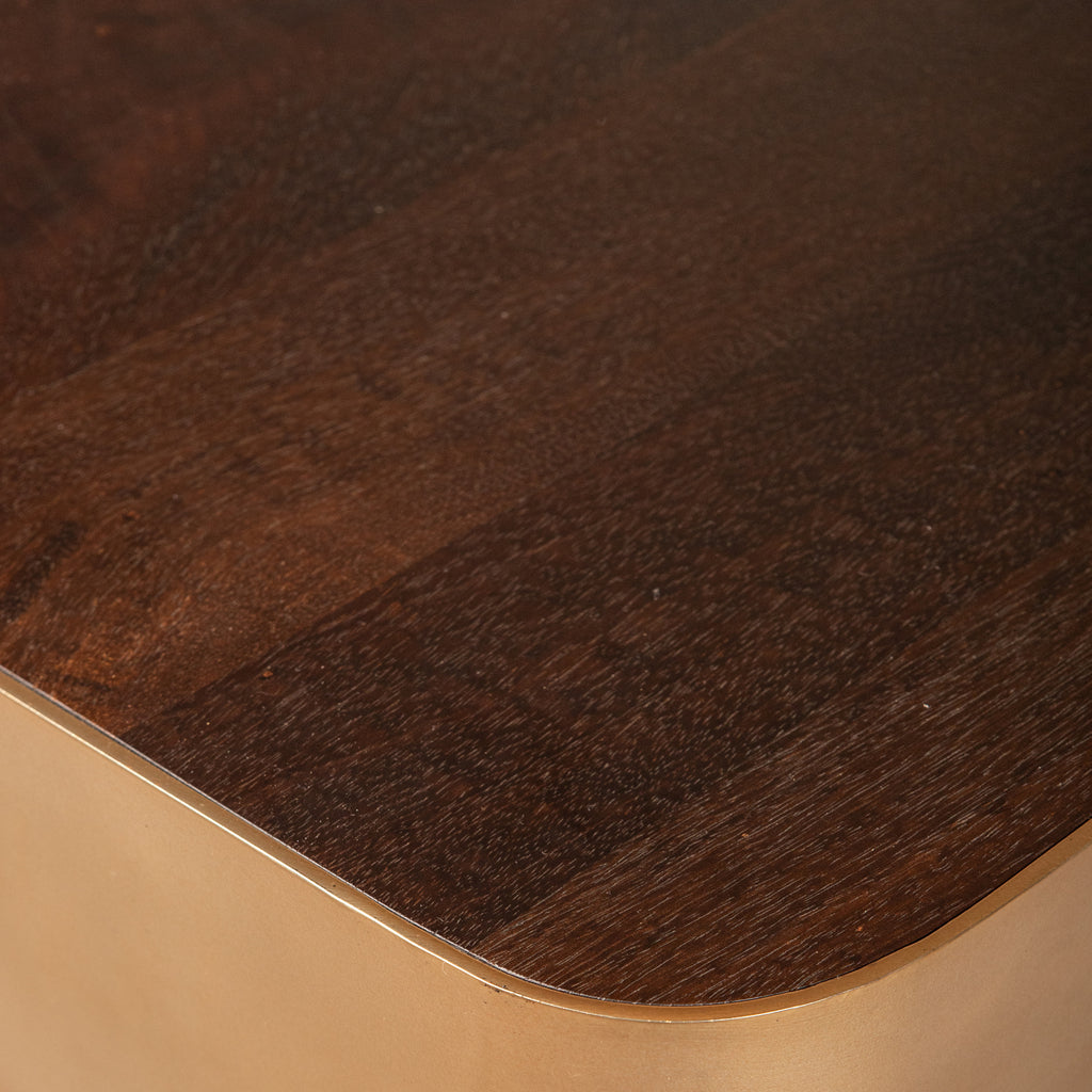 Warren Salontafel 180x45x31 bruin hout goud mtl