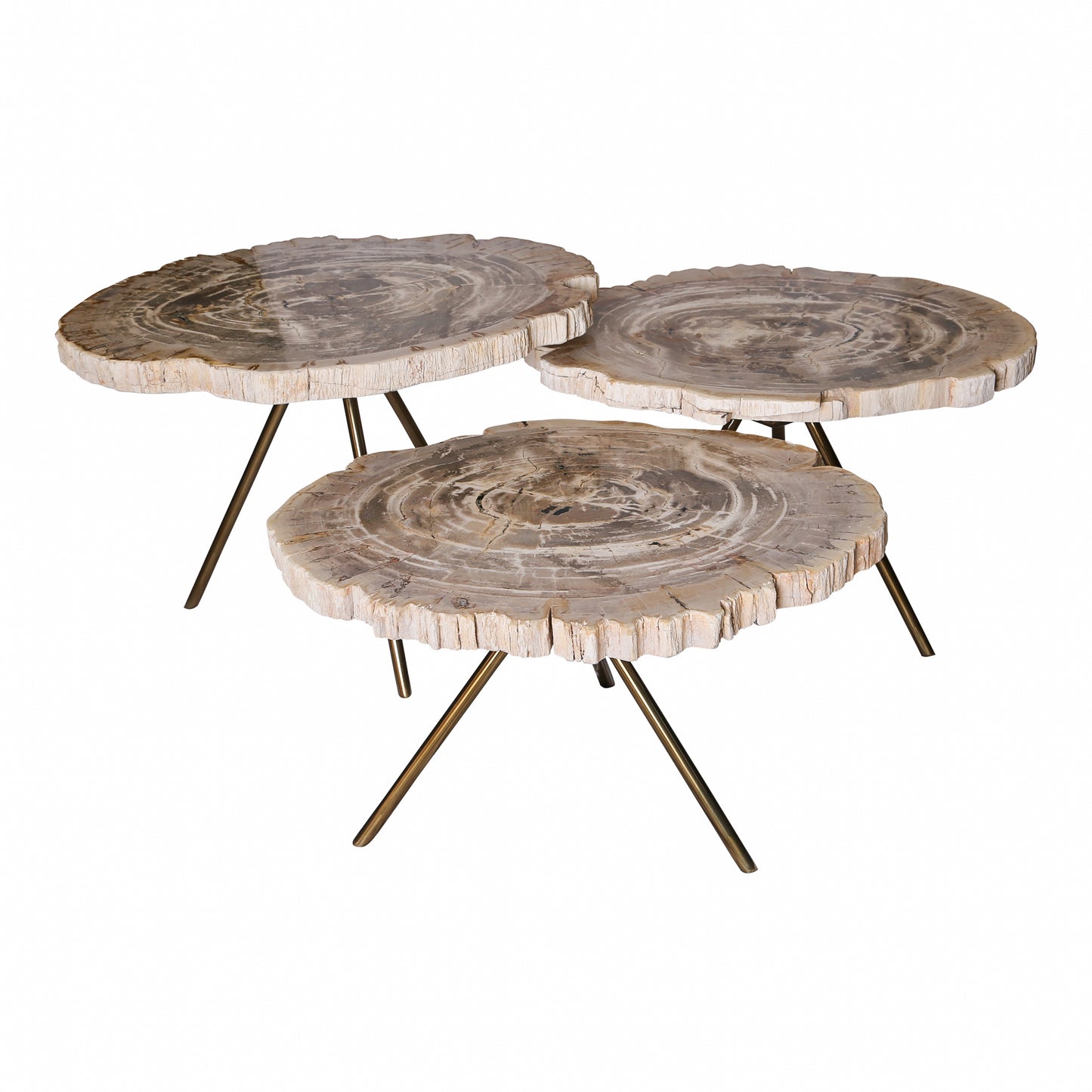 New Khine Petrified Wood Coffee Table Brass SV3