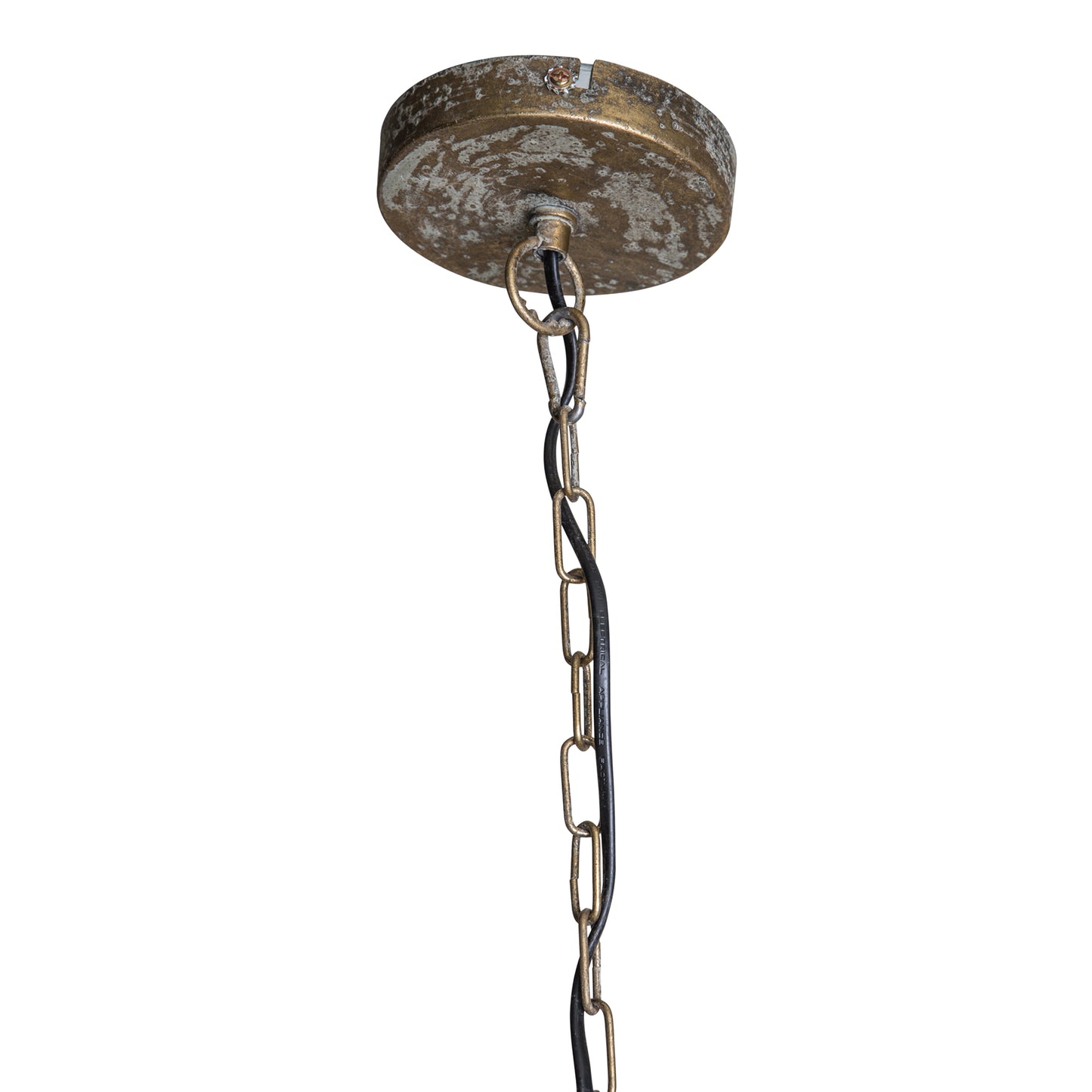 Moira Gold Metal Hanging Lamp Palm Leaf Wide