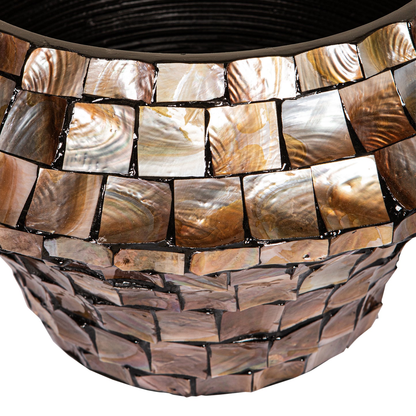 Daven Bronze Poly Shell Bamboo Pot Round Low M