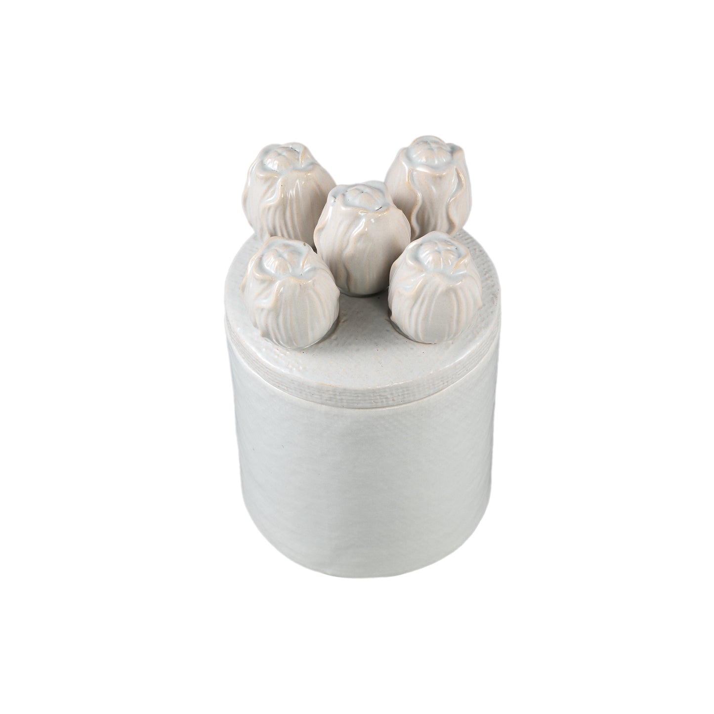 Krystine Cream Round Ceramic Pot With Tulips Top