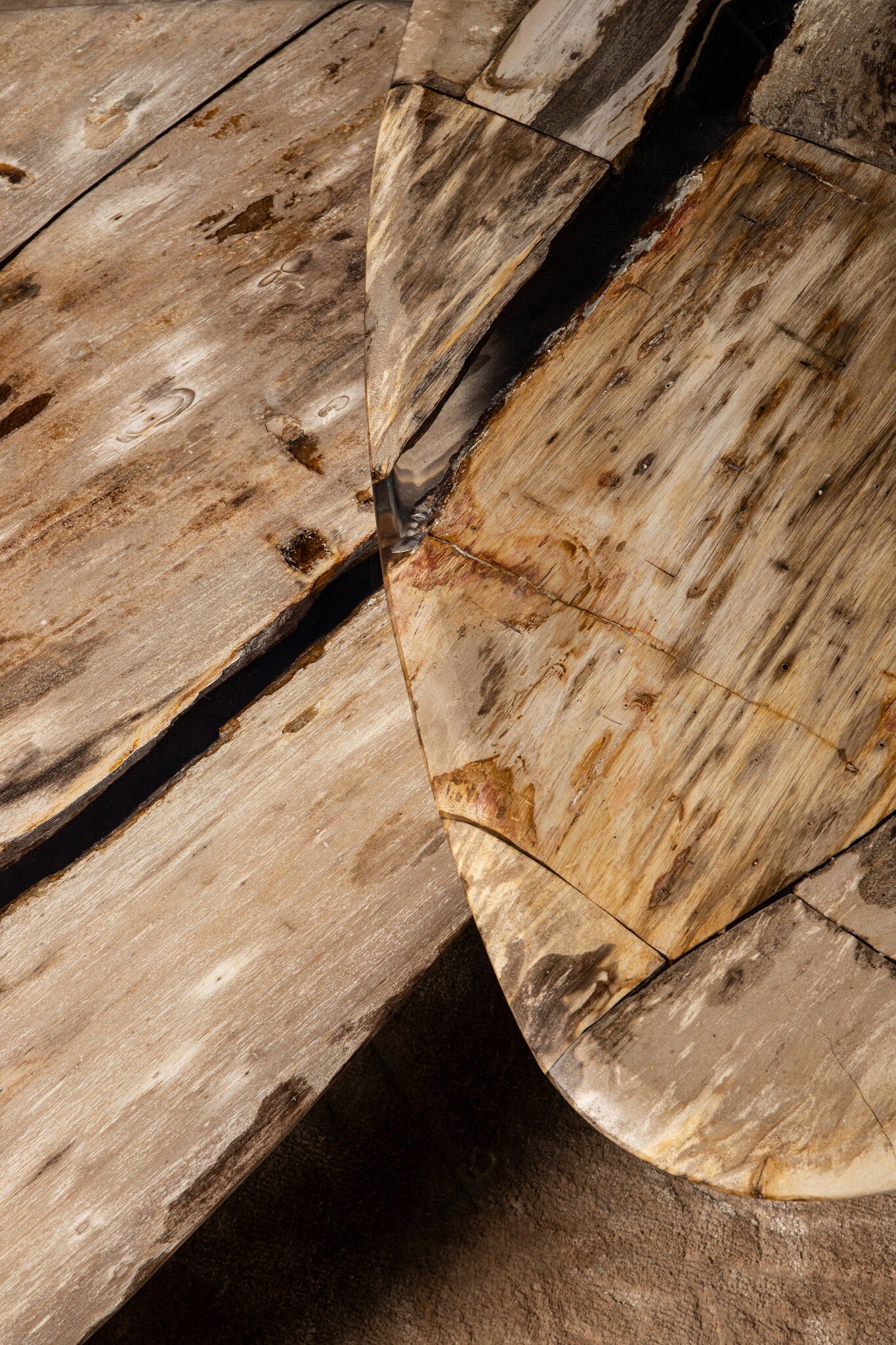 Deeba Coffeetable Petrified Wood 95