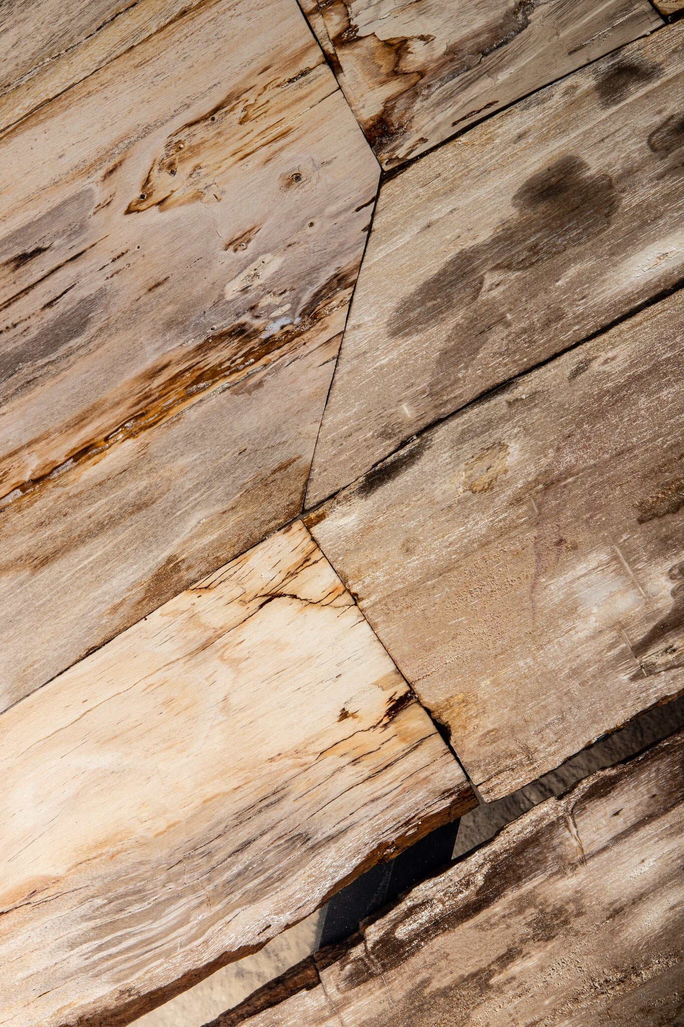 Deeba Coffeetable Petrified Wood 95
