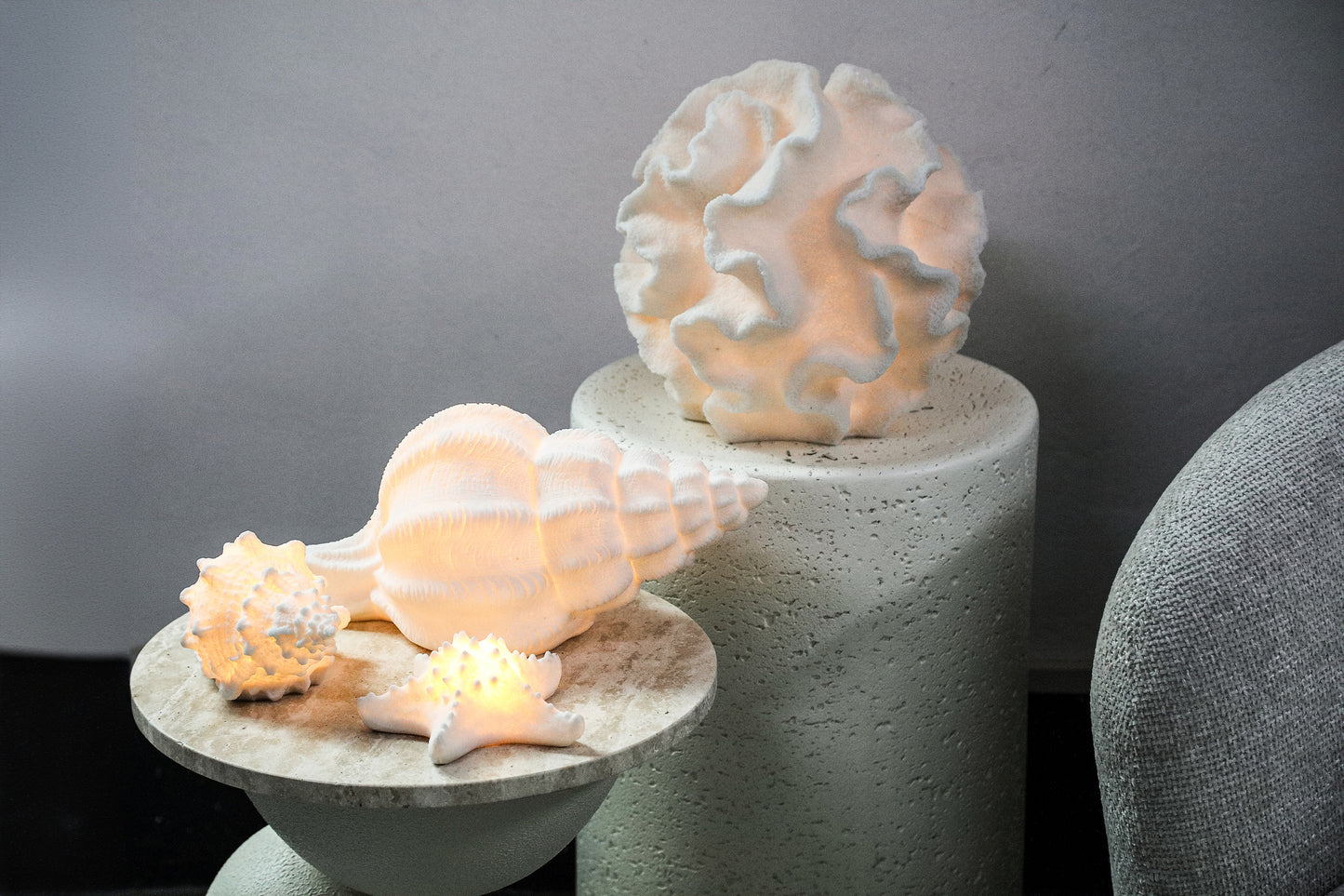 Graeme White Poly Sea Star Shaped LED Lamp S