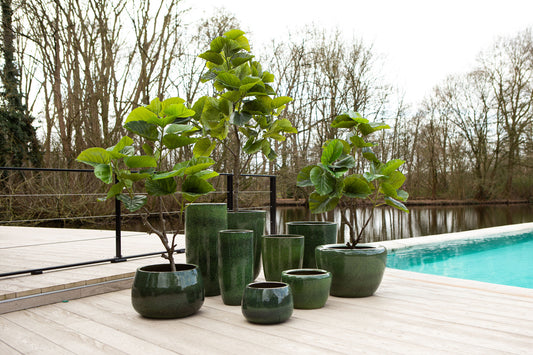 Madaline Green Glazed Round Ceramic Pot SV2