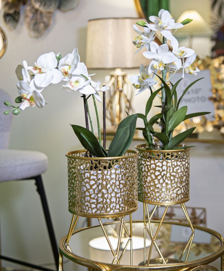 Mauro Ferretti VASE HOLDERPINY SET 2 PCS CM Ø 16X20-13X20